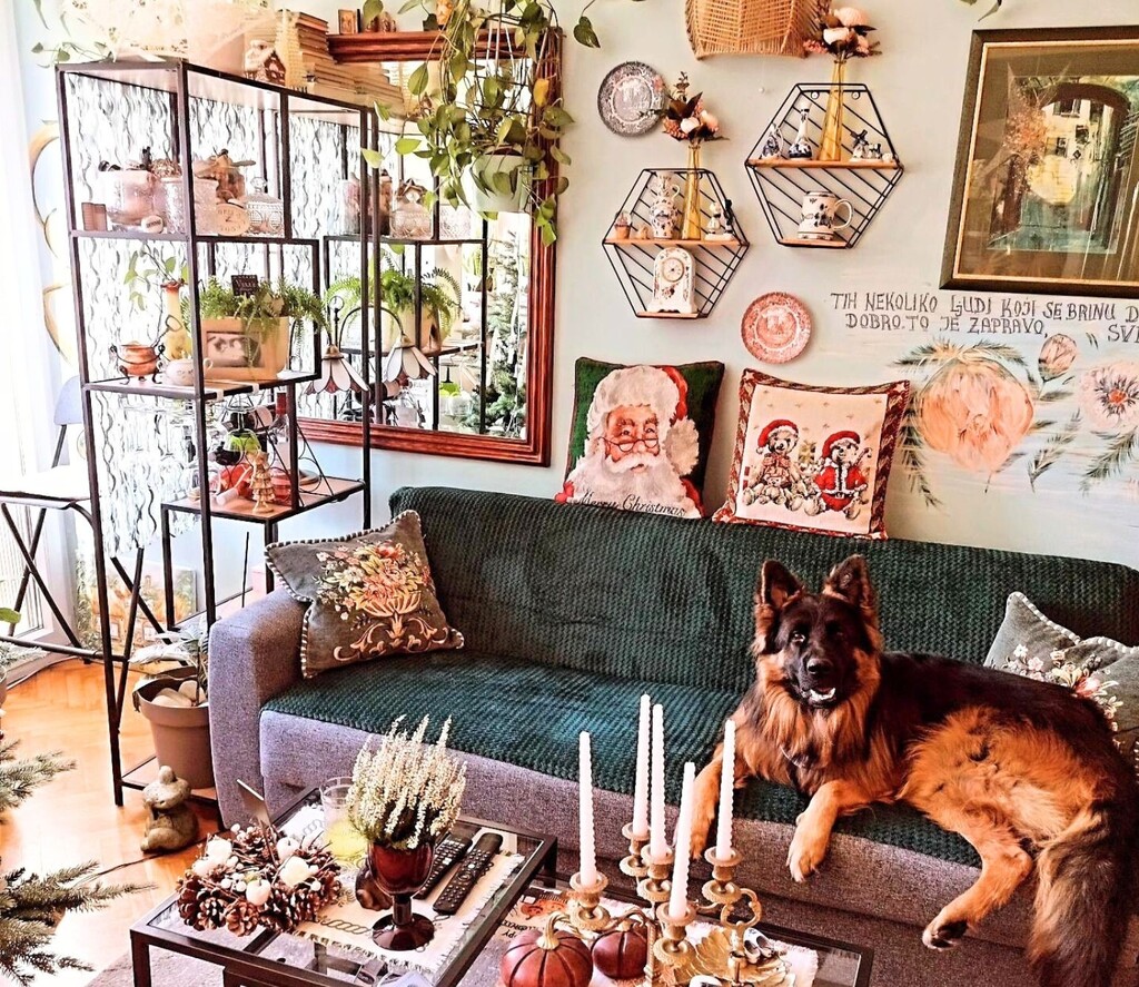 Stan Sonje Vranić iz Novog Sada izgleda poput male zemlje čuda