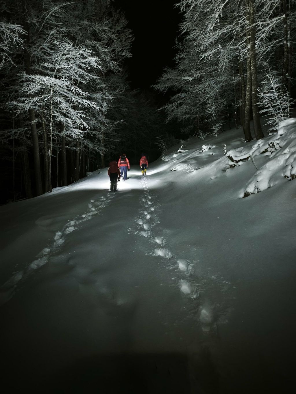 HGSS spasio biciklista - 4