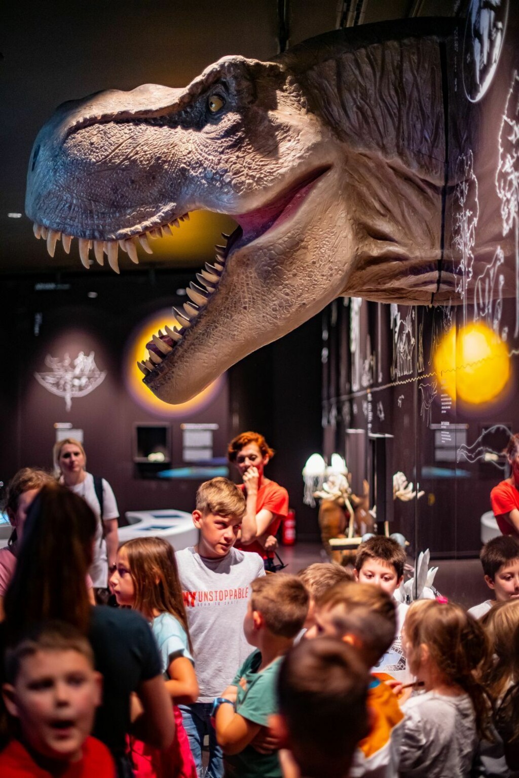 Geo-info centar u Voćinu