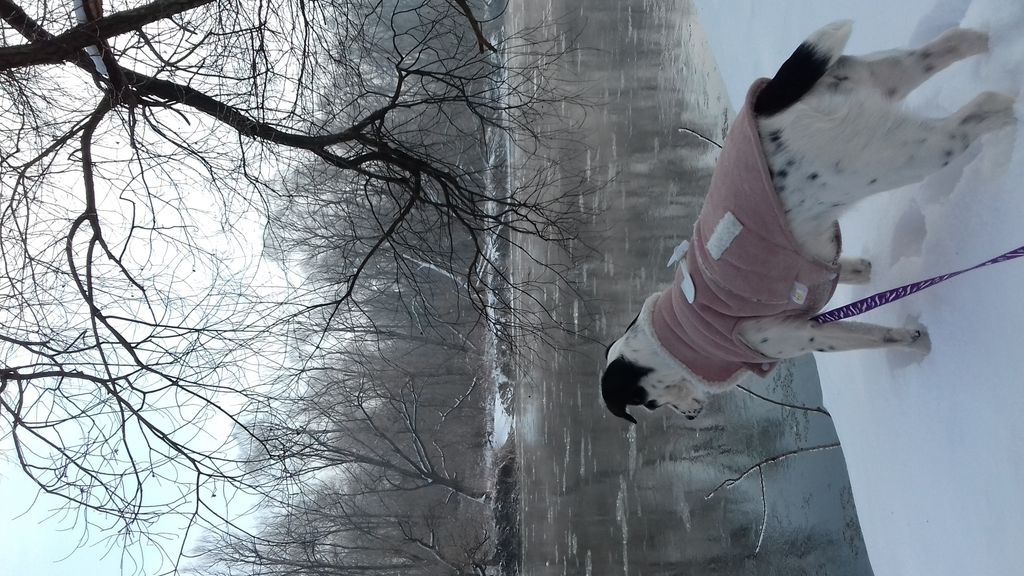 Svako godišnje doba uz Bellu ima svoje čari - 4