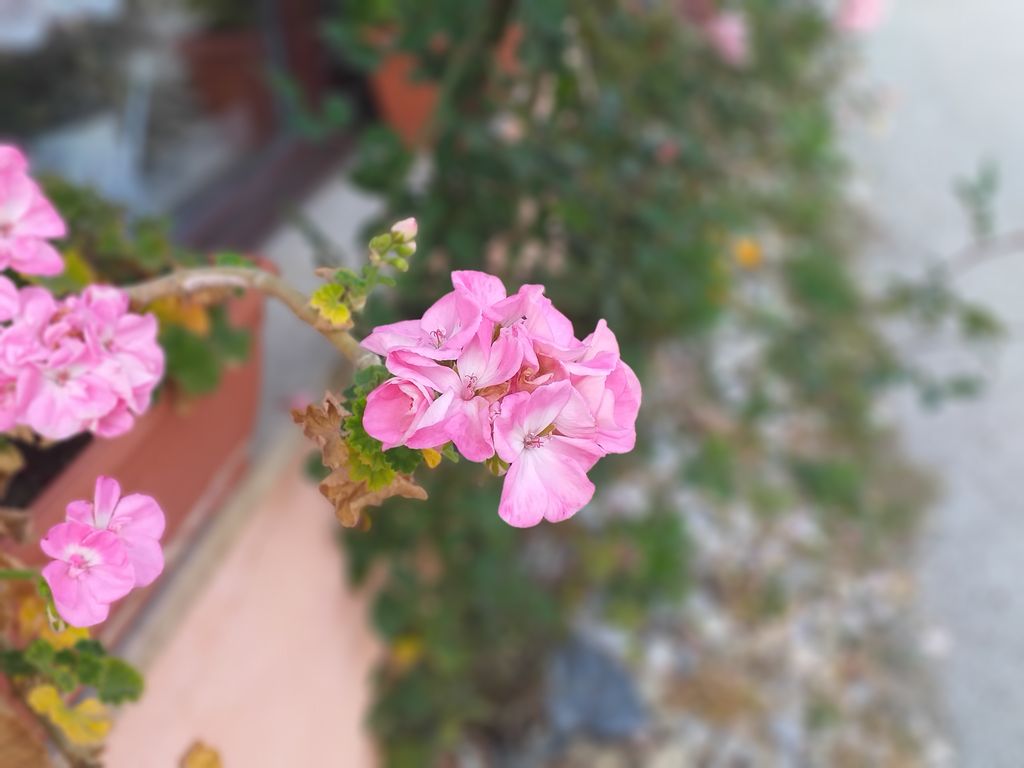 Samsung Galaxy J6+ (Foto: ZIMO)