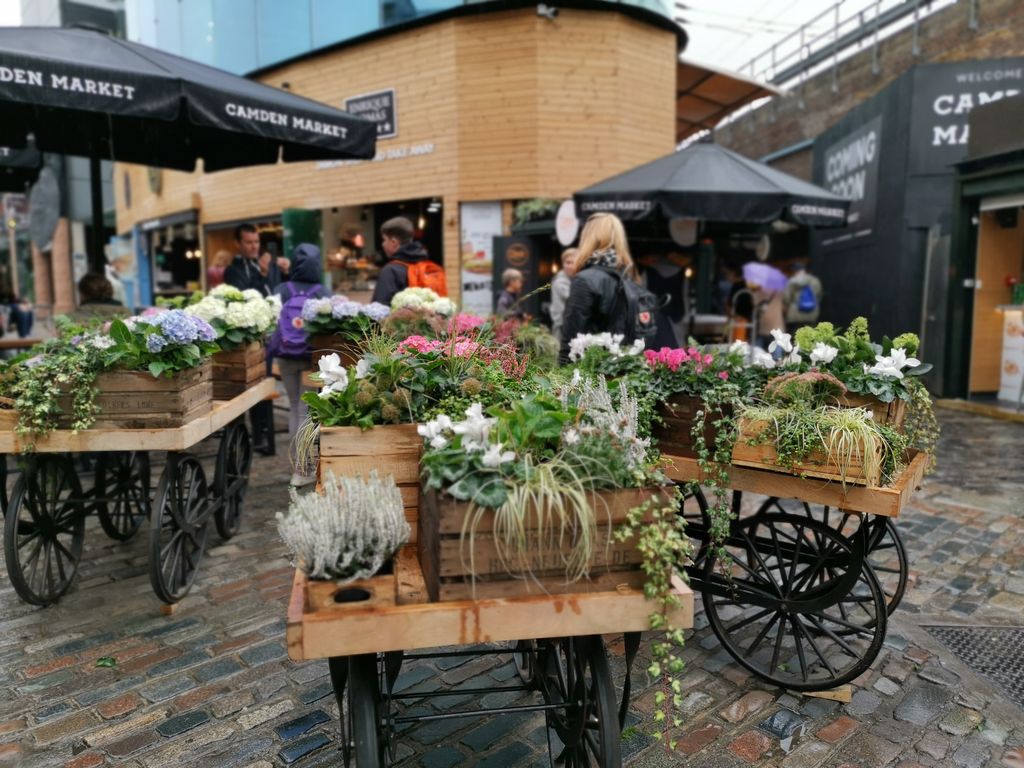 Huawei Mate 20 Pro (Foto: Zimo)