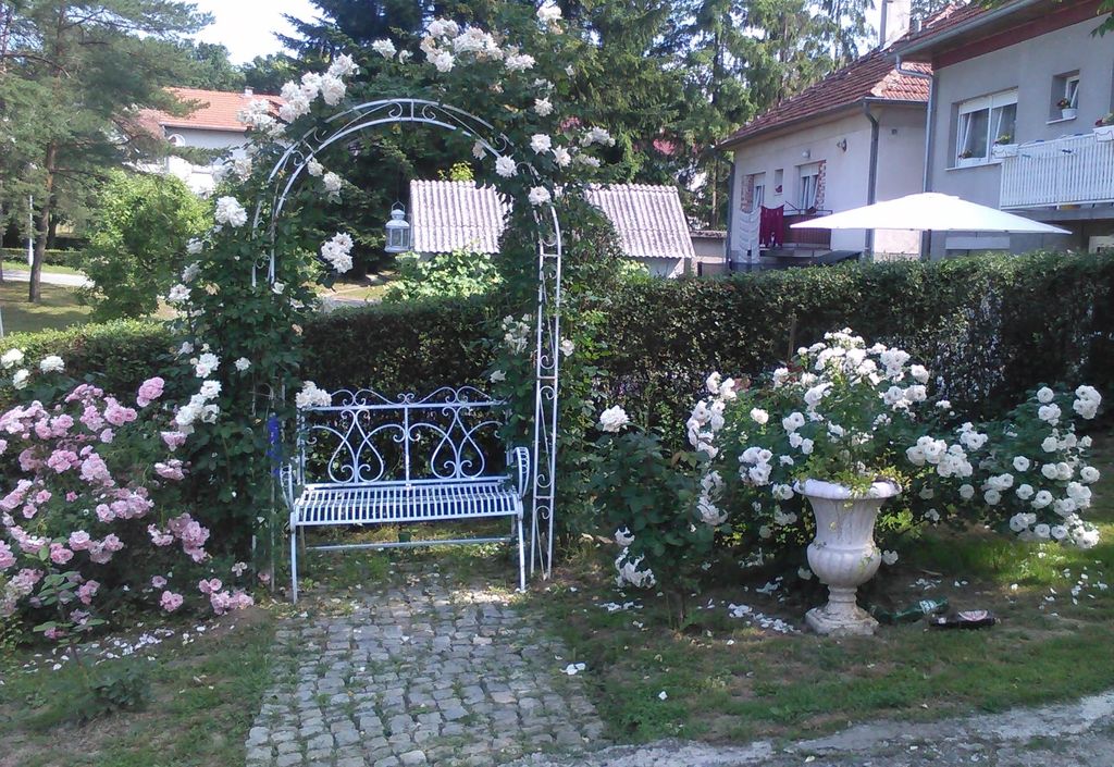 Poseban šarm ružičnjaku daju bijela metalna klupica i poluokrugli stalak za ružu