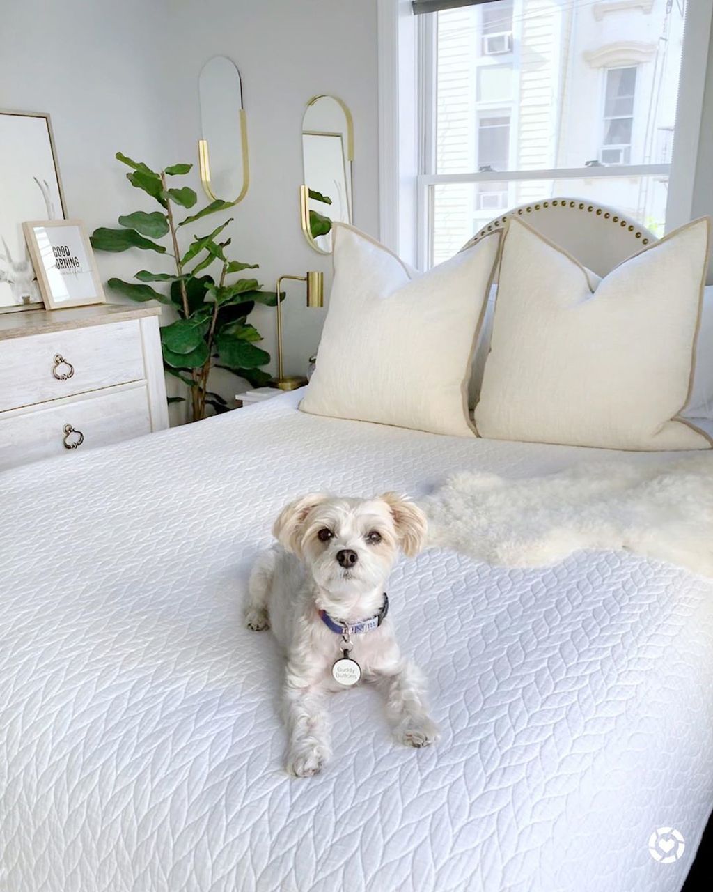 Predivan stan u New Jerseyu - 1