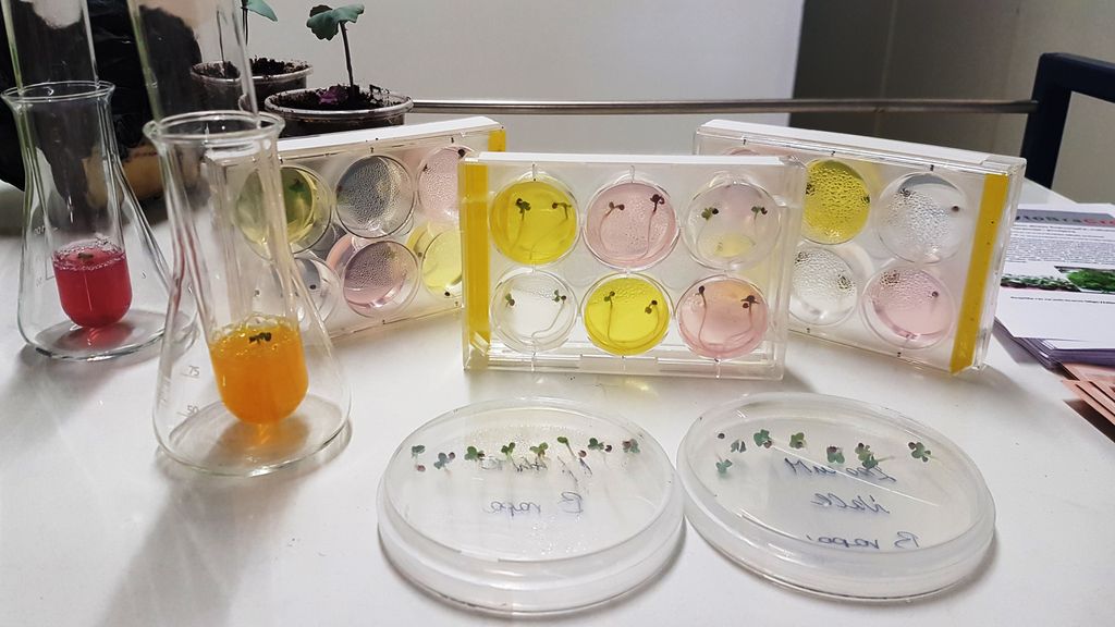 Prof. dr. Dunja Šamec