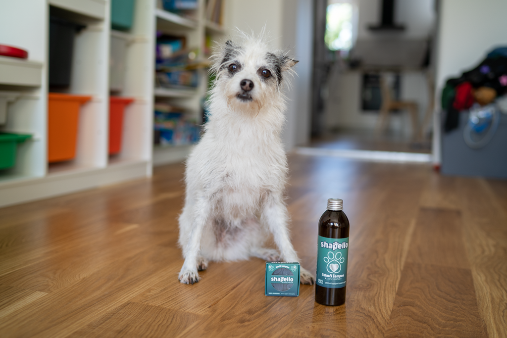 Shapello možete pronaći u INTERSPAR i odabranim SPAR trgovinama