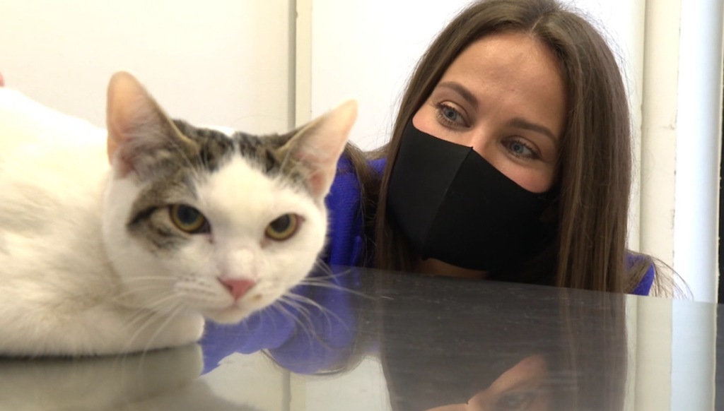 Spock kod veterinara