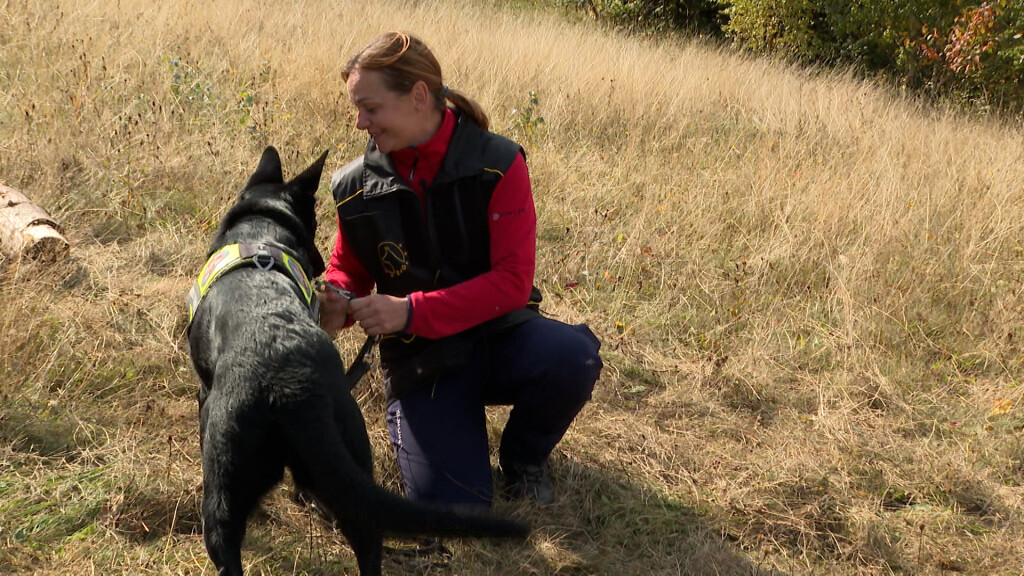 Mali heroji na Sljemenu