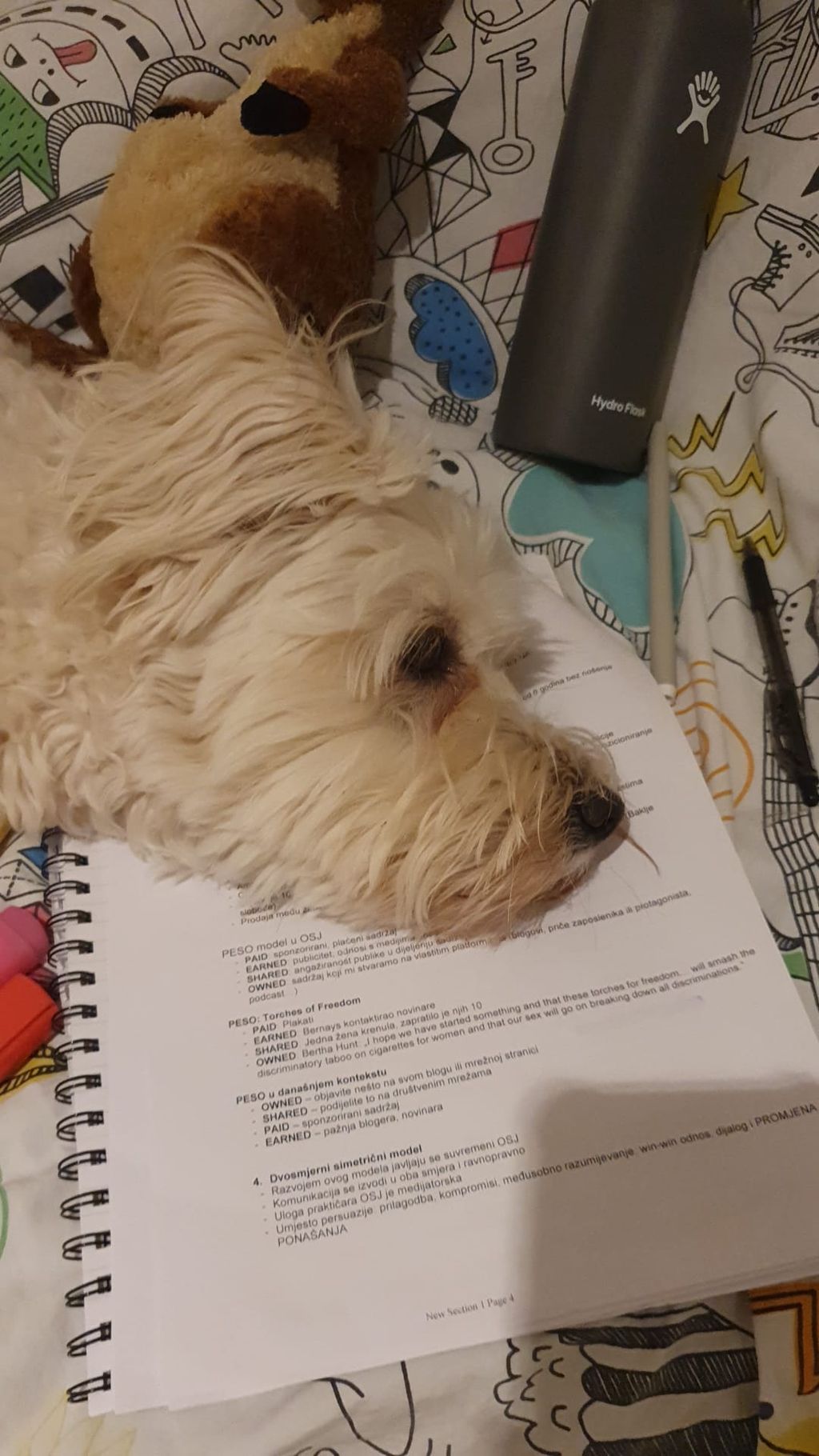 Hodate dok učite ili gradivo prepričavate svom psu? Vropljenje je dobro za vas!