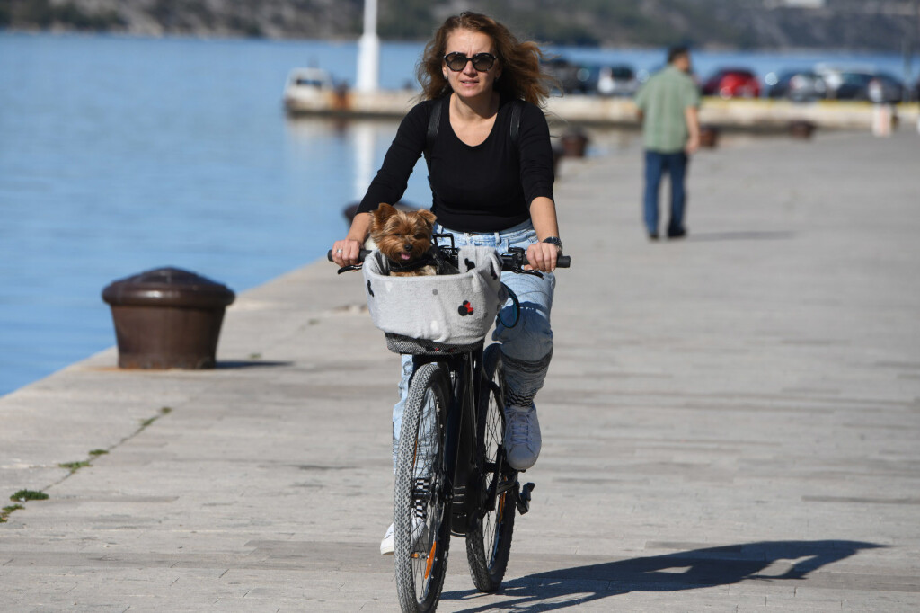 Psić Rafo iz Šibenika uživa u vožnji biciklom sa svojom vlasnicom Andreom - 5