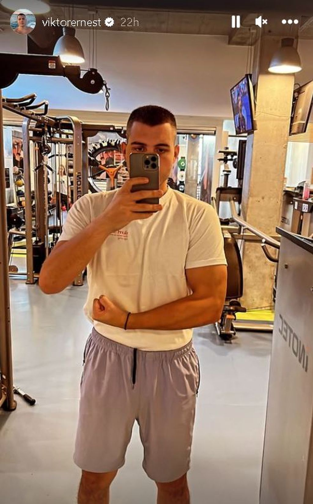Viktor Živojinović - 2
