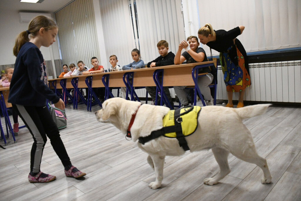 Terapijski pas Luna svakodnevno unosi radost u bjelovarsku osnovnu školu - 1