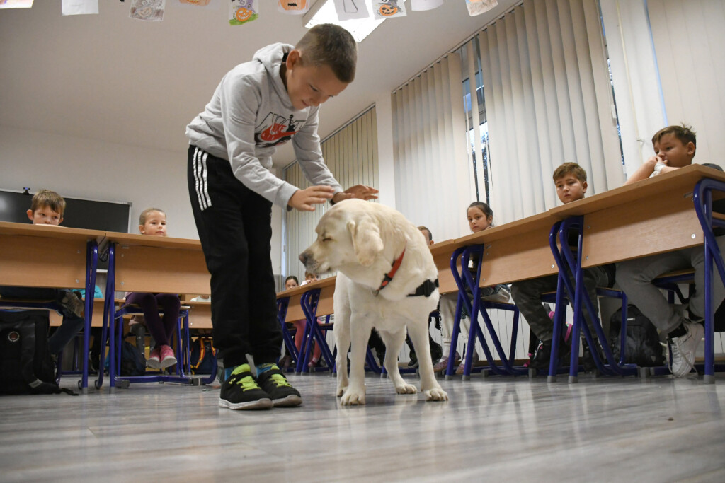 Terapijski pas Luna svakodnevno unosi radost u bjelovarsku osnovnu školu - 5