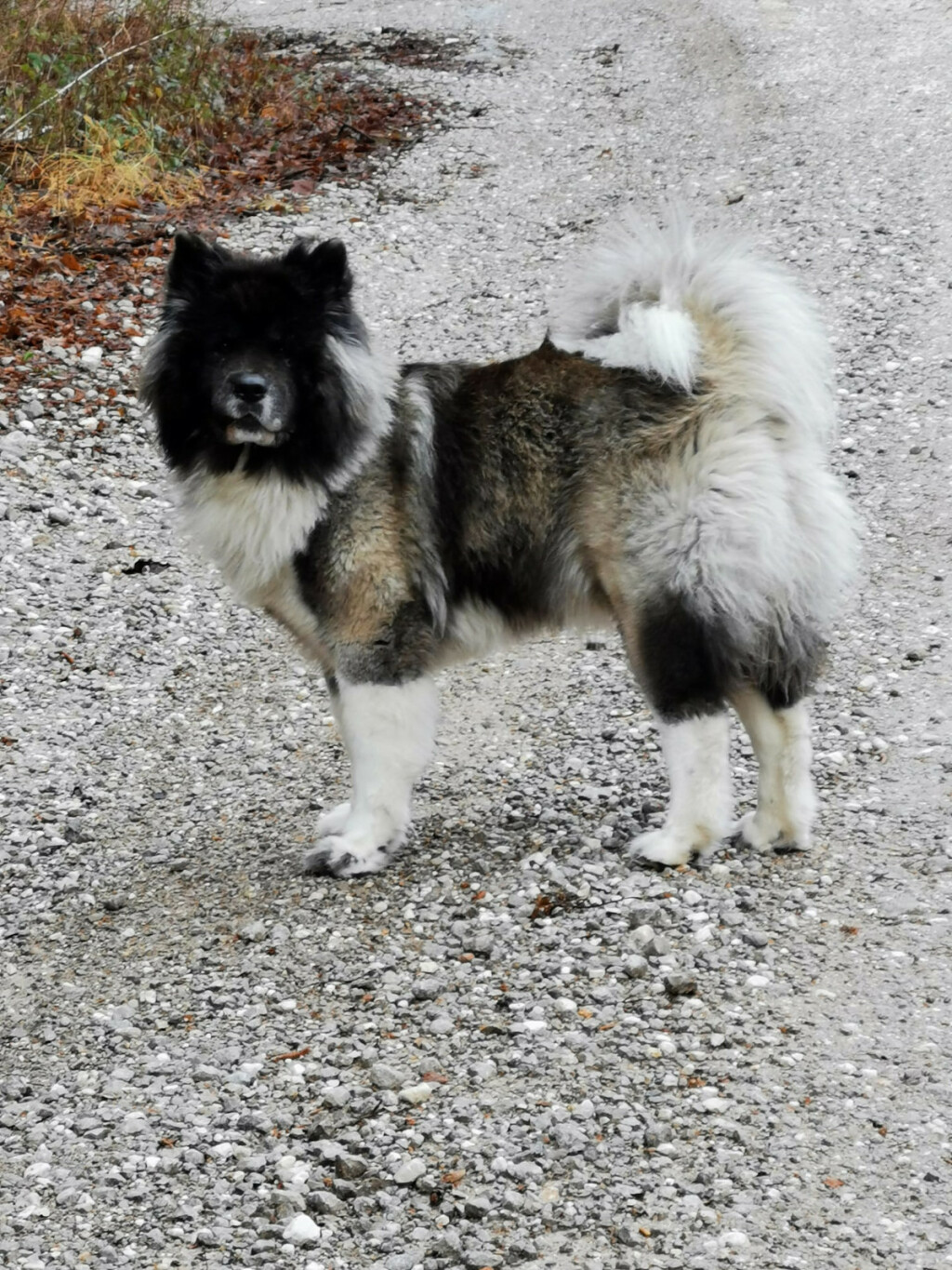 Predivne akite naših čitateljica