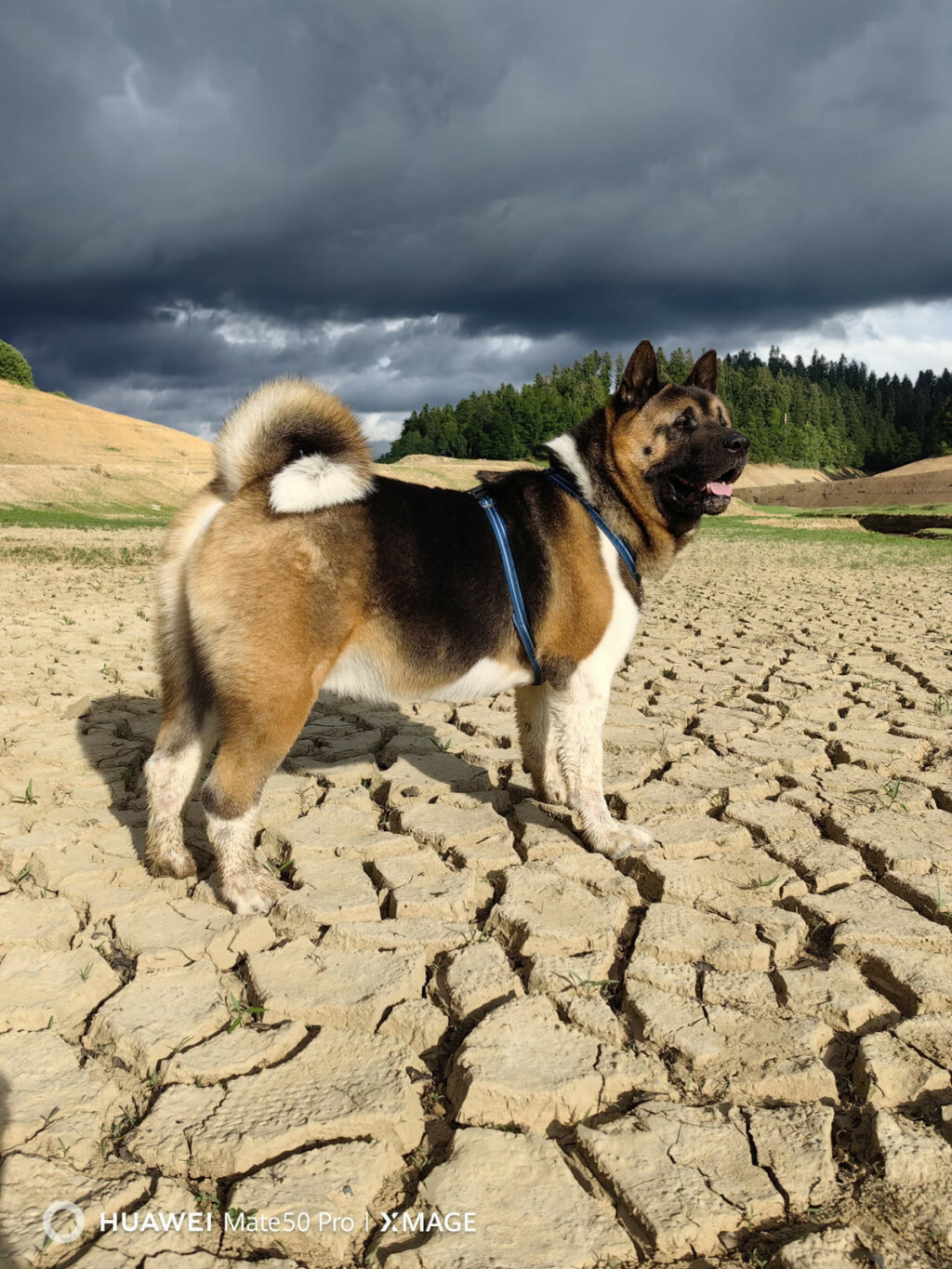 Predivne akite naših čitateljica - 7