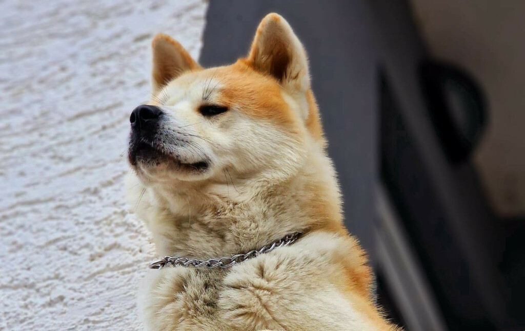 Predivne akite naših čitateljica - 15