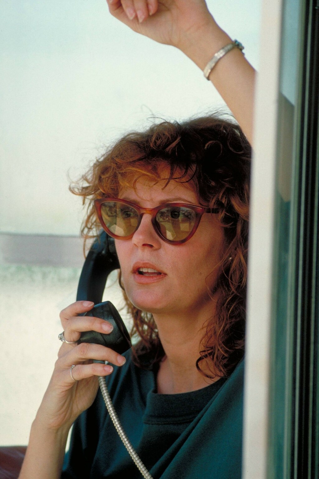 Susan Sarandon