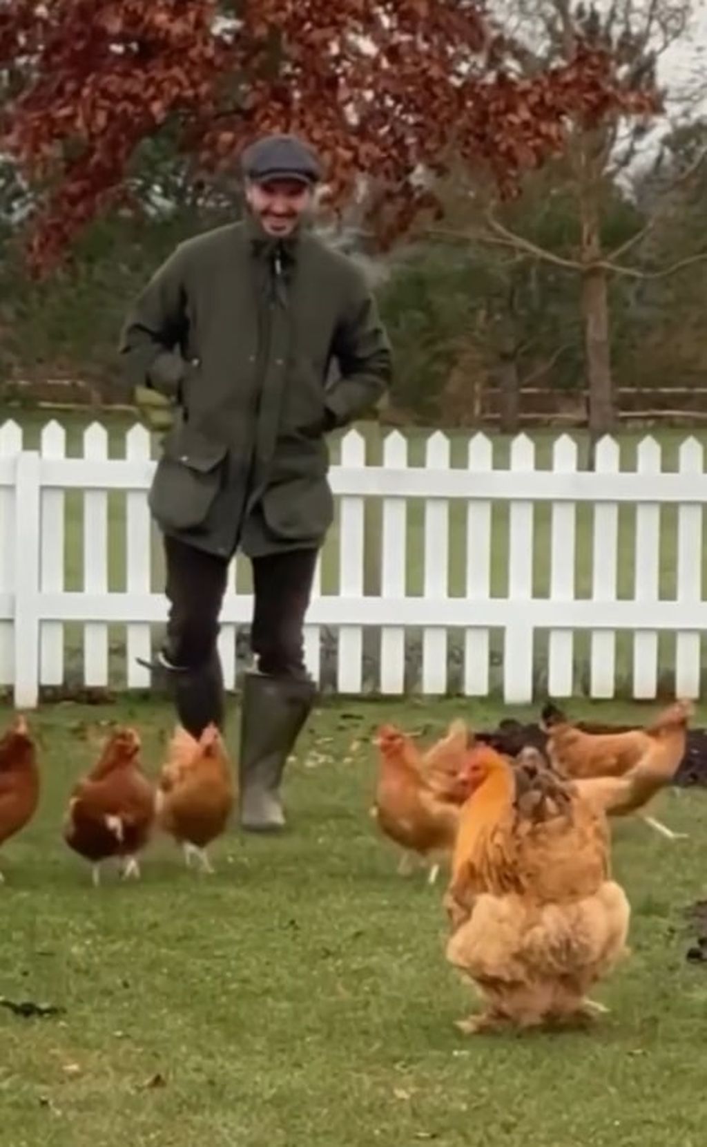 David Beckham i kokoši - 3