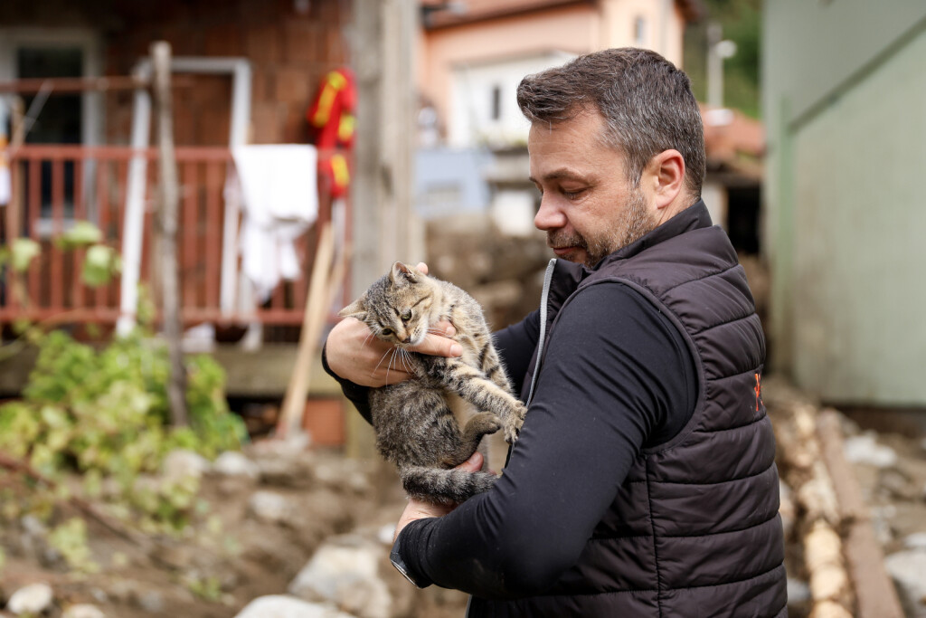 Volonter je u selu Zlate u Bosni i Hercegovini iz ruševina spasio mačku - 2