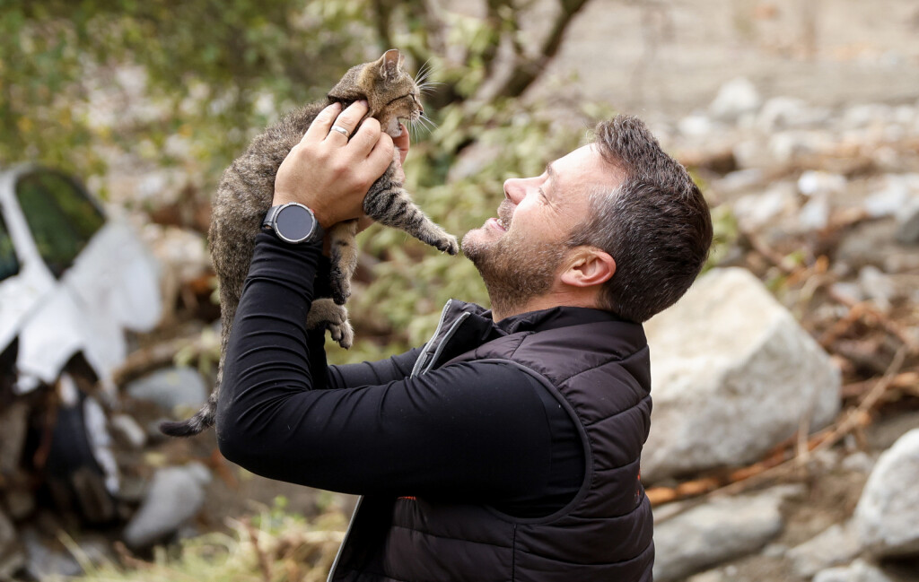 Volonter je u selu Zlate u Bosni i Hercegovini iz ruševina spasio mačku - 4