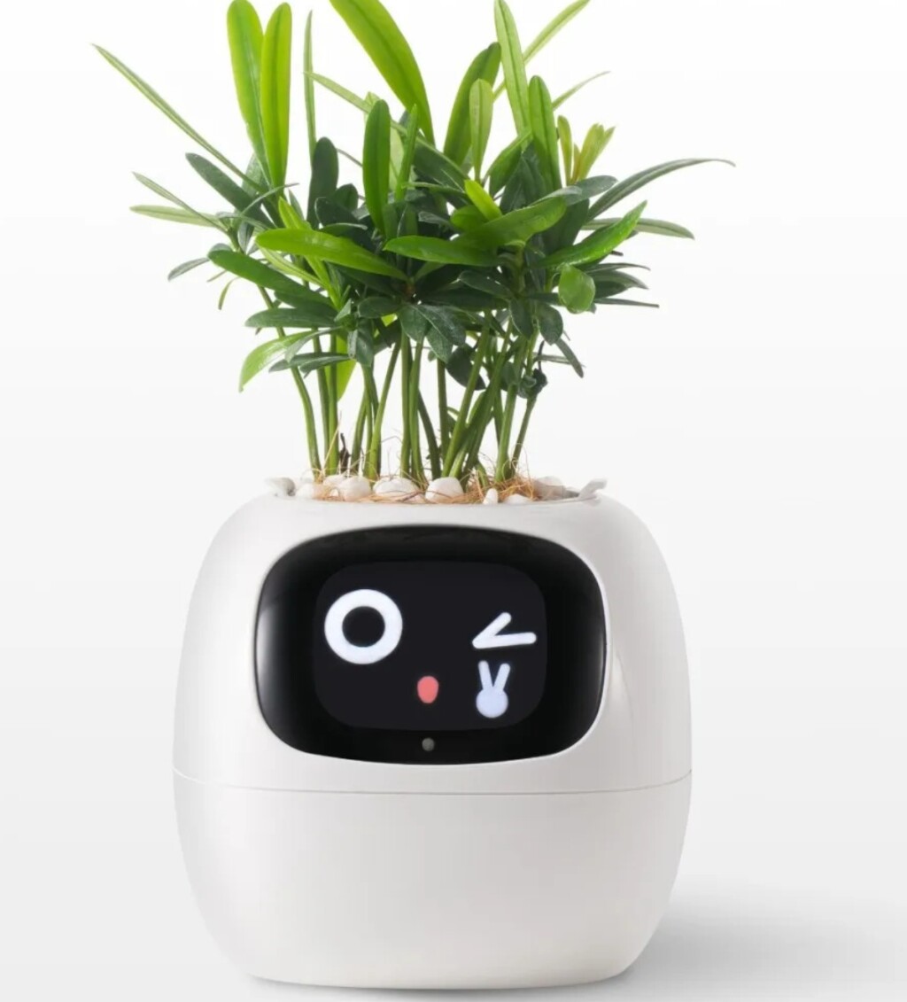 Plantagotchi posuda