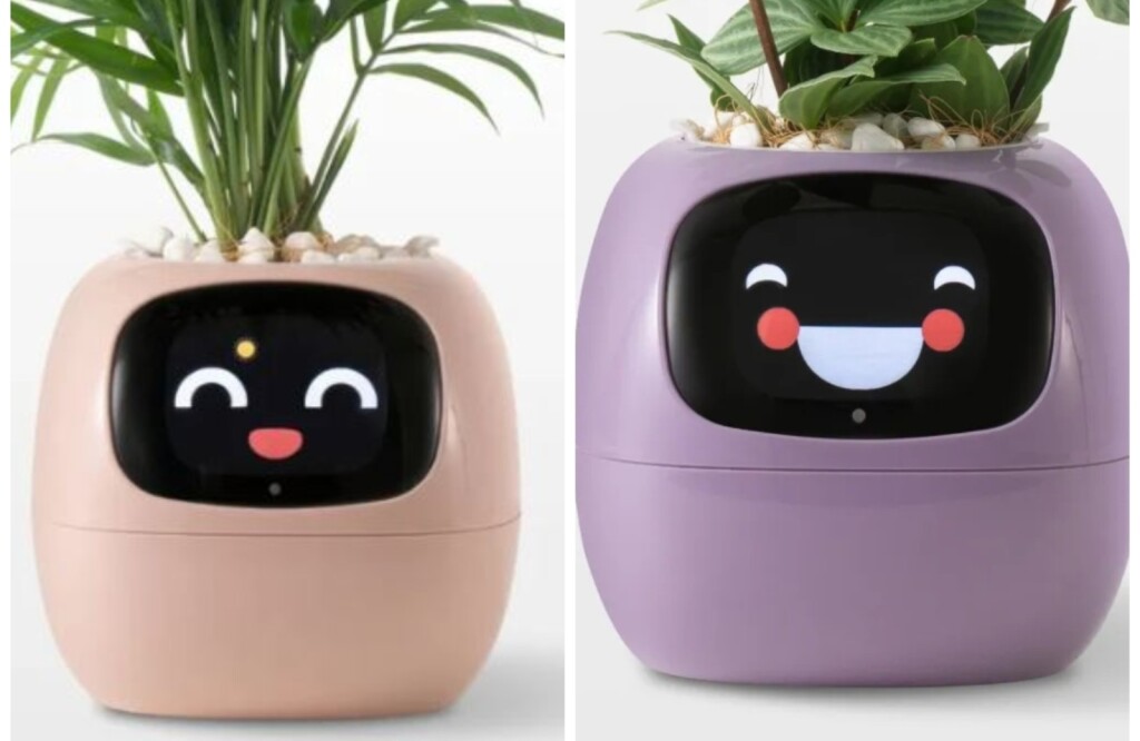 Plantagotchi posude veliki su hit