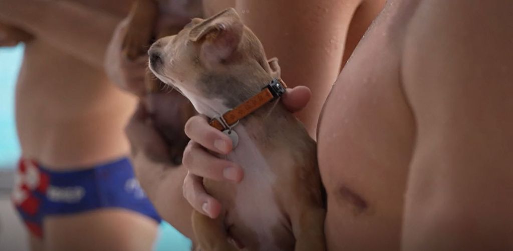 In Magazin: Indigo i vaterpolisti - 1