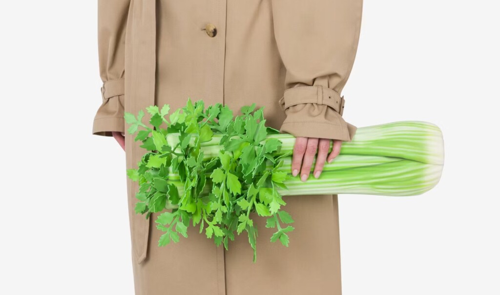 Torba u obliku celera s potpisom Moschina