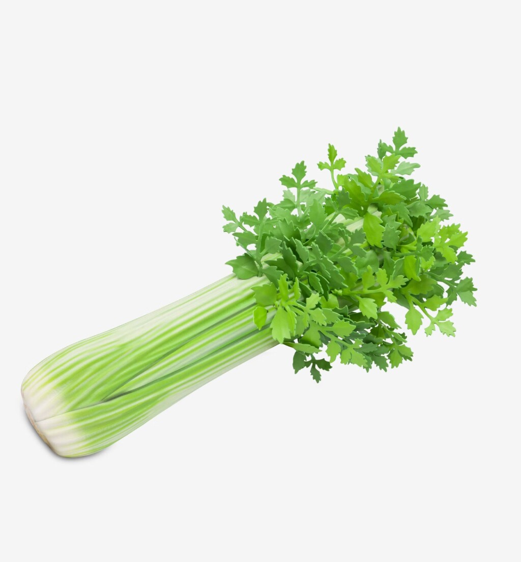 Torba u obliku celera s potpisom Moschina