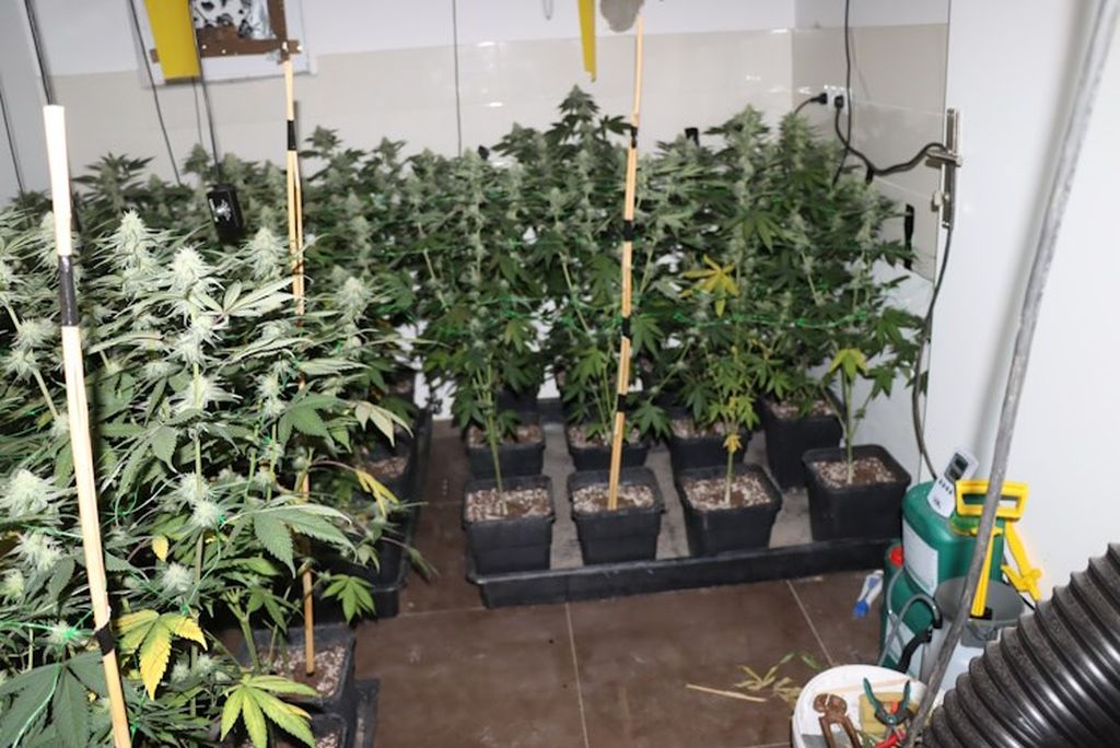 Uhićenje, ilustracija