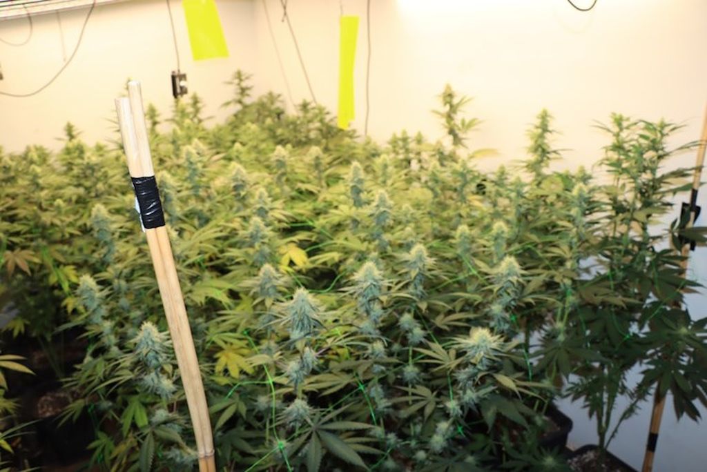 Uhićenje, ilustracija