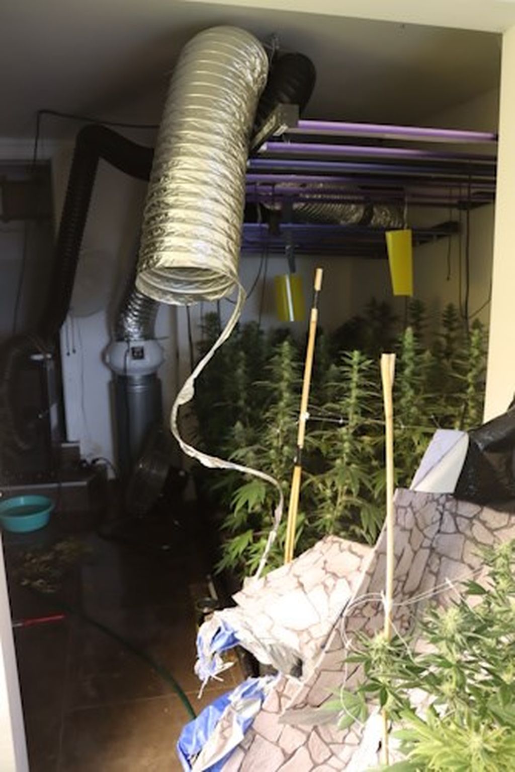 Uhićenje, ilustracija