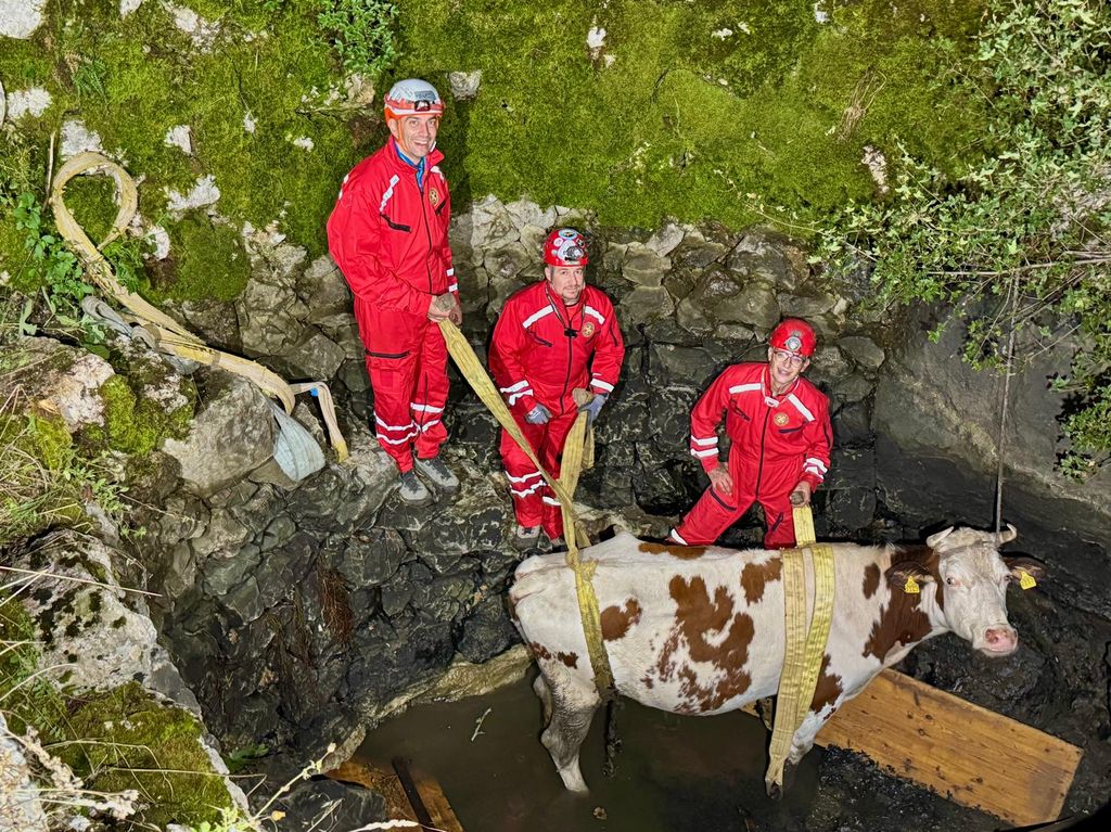 HGSS u akciji spašavanja - 2