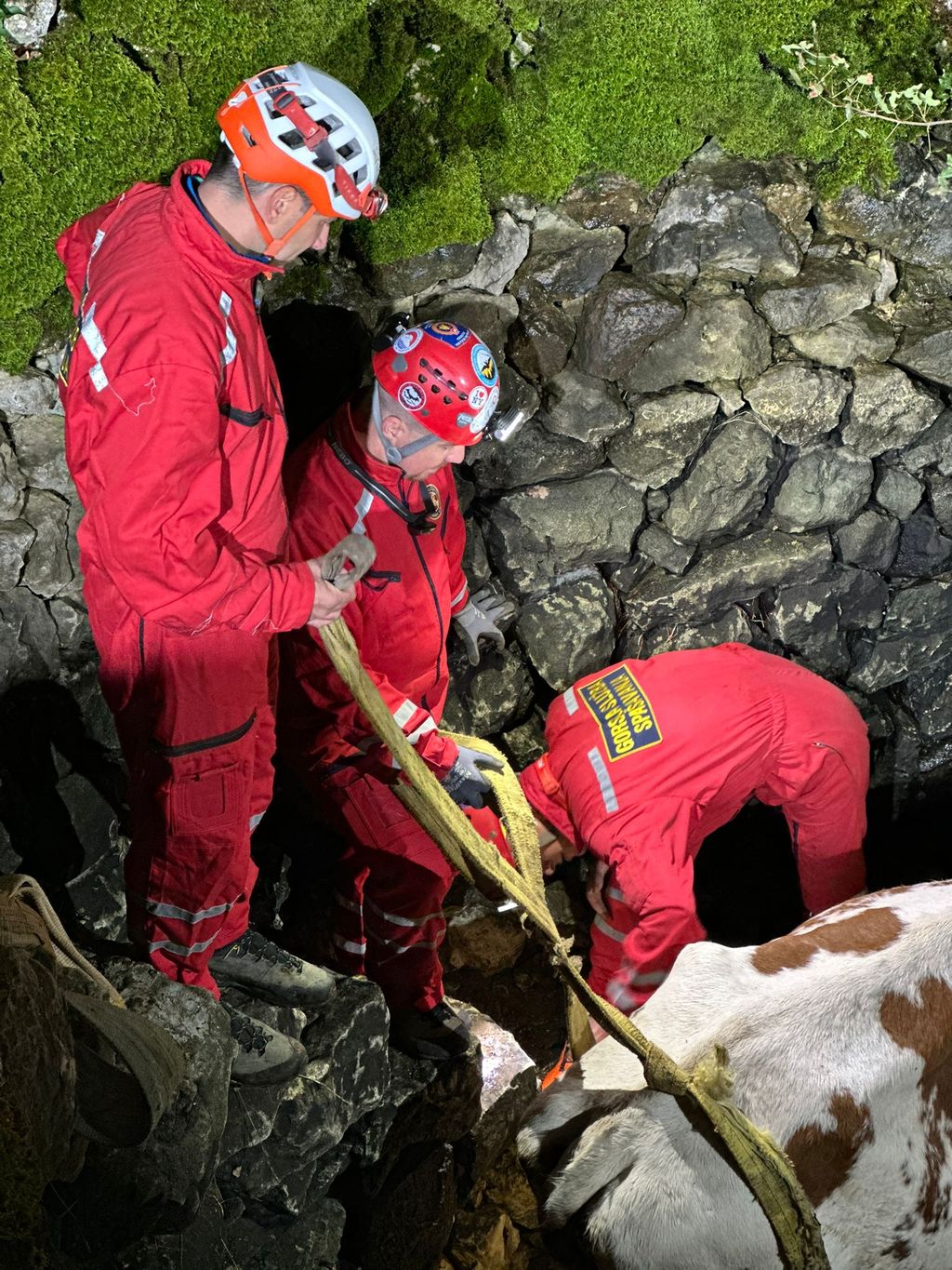 HGSS u akciji spašavanja - 2