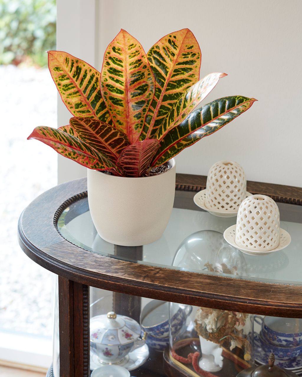 Pet biljaka koje unose jesensku toplinu u dom