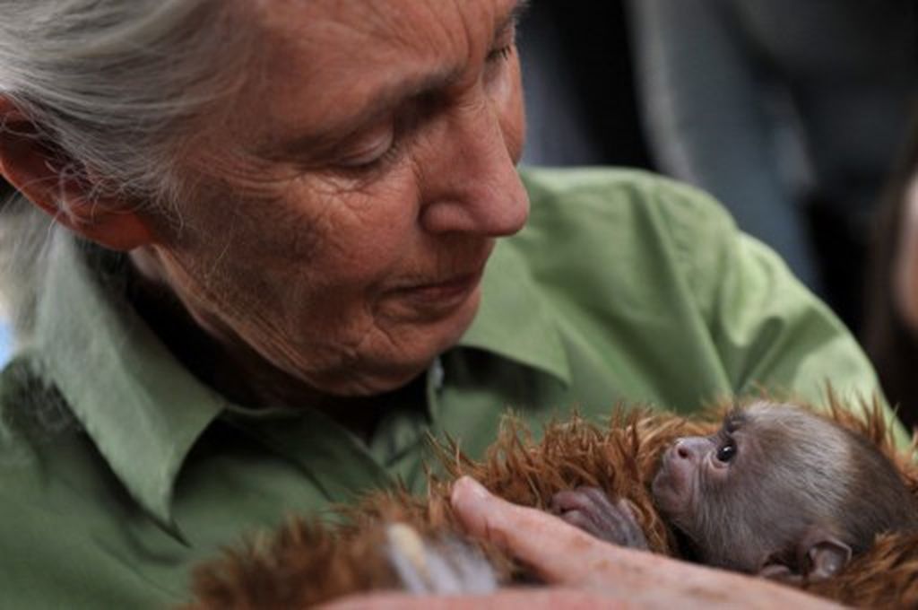 Jane Goodall - 3