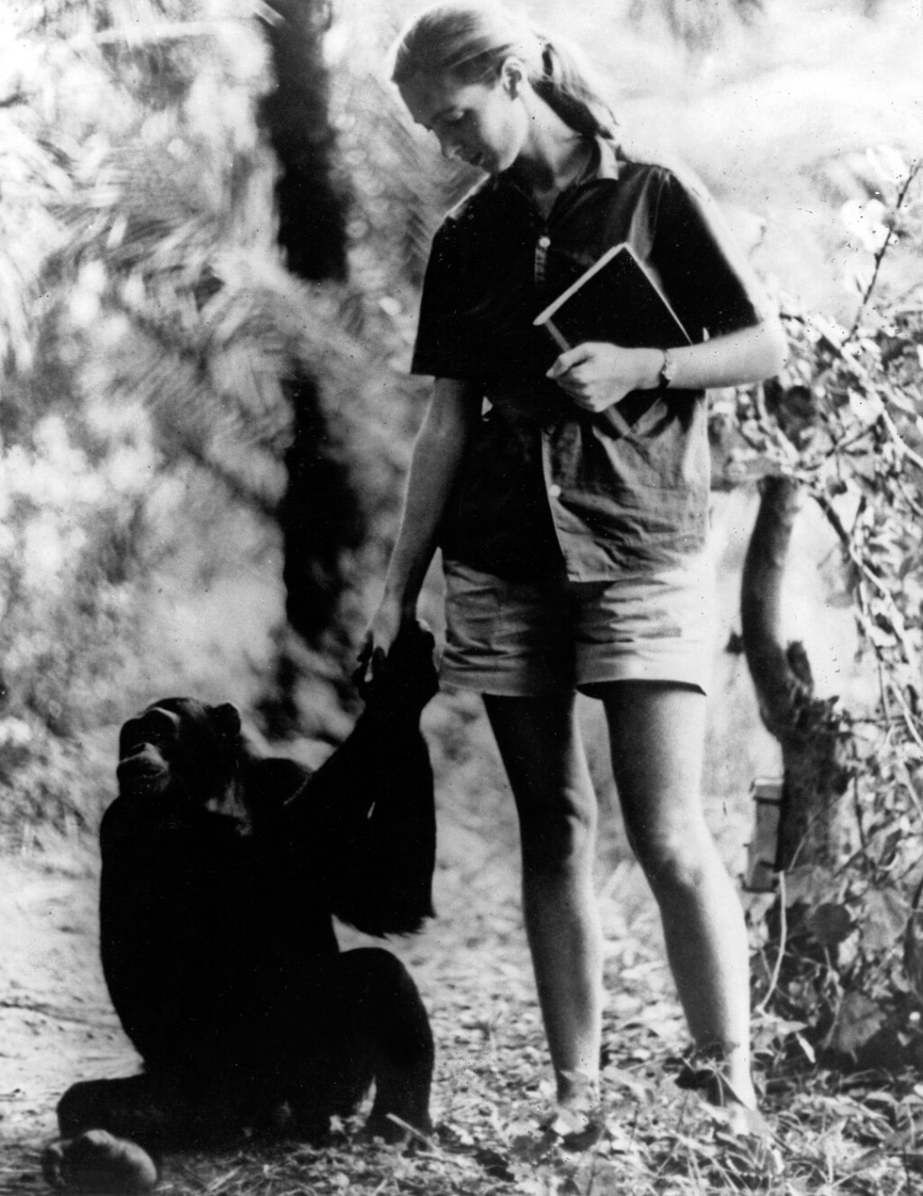 Jane Goodall