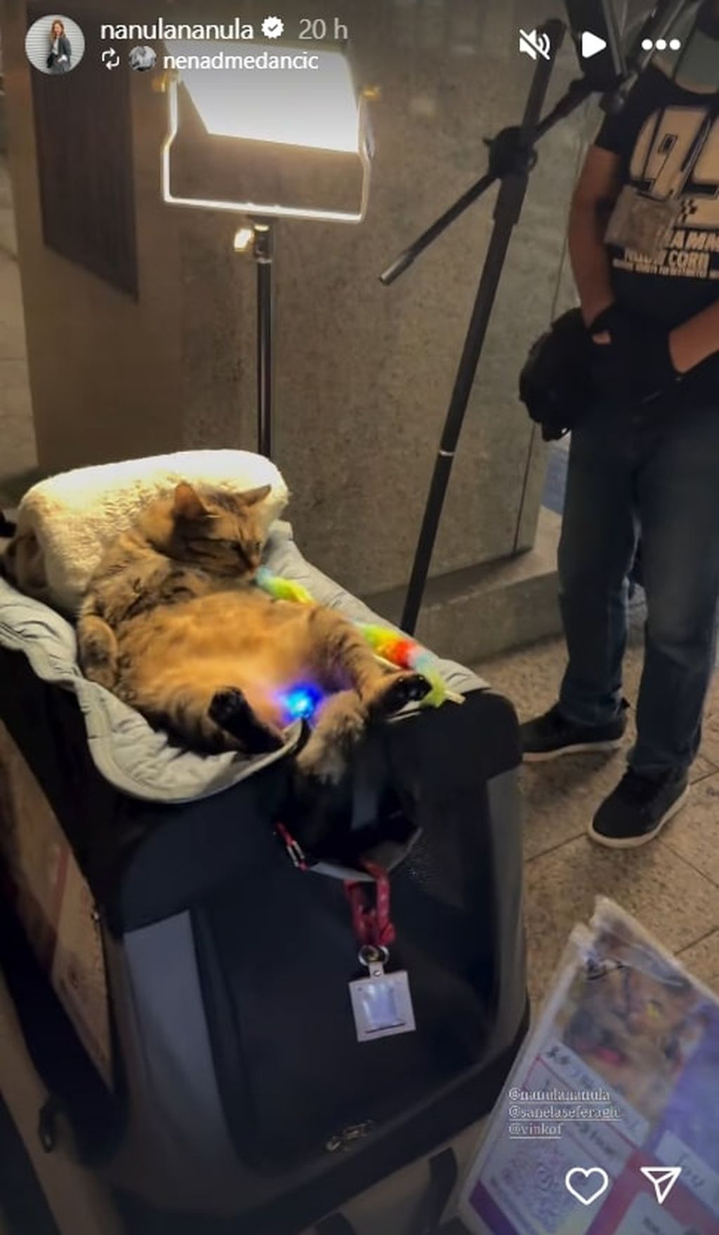 Nataša Janjić Medančić - 2