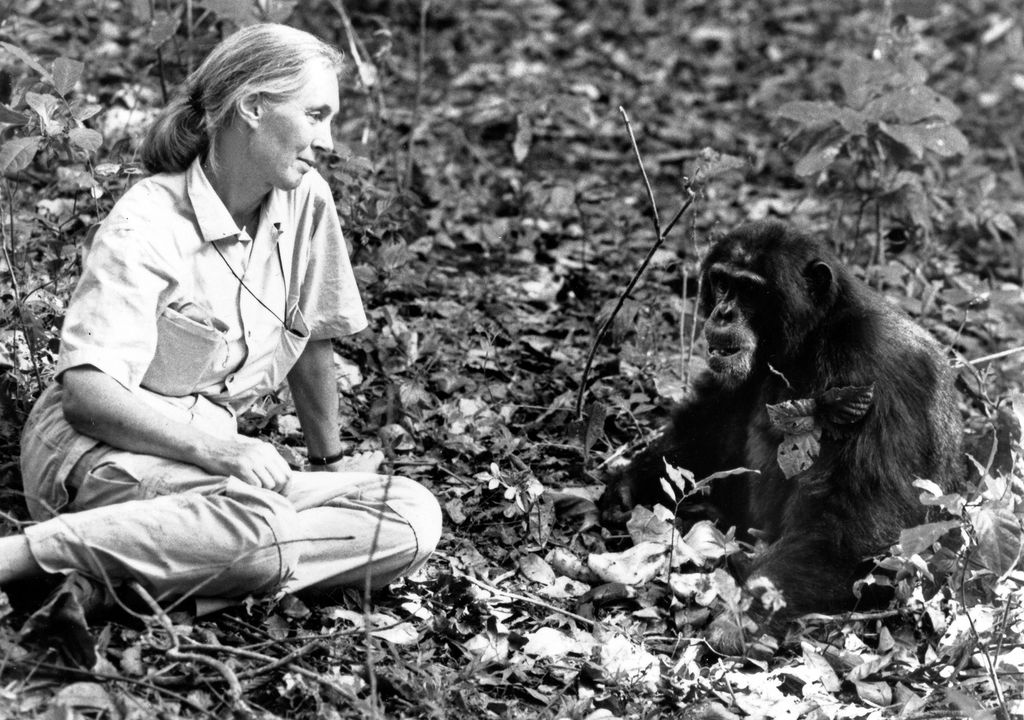 Jane Goodall - 10