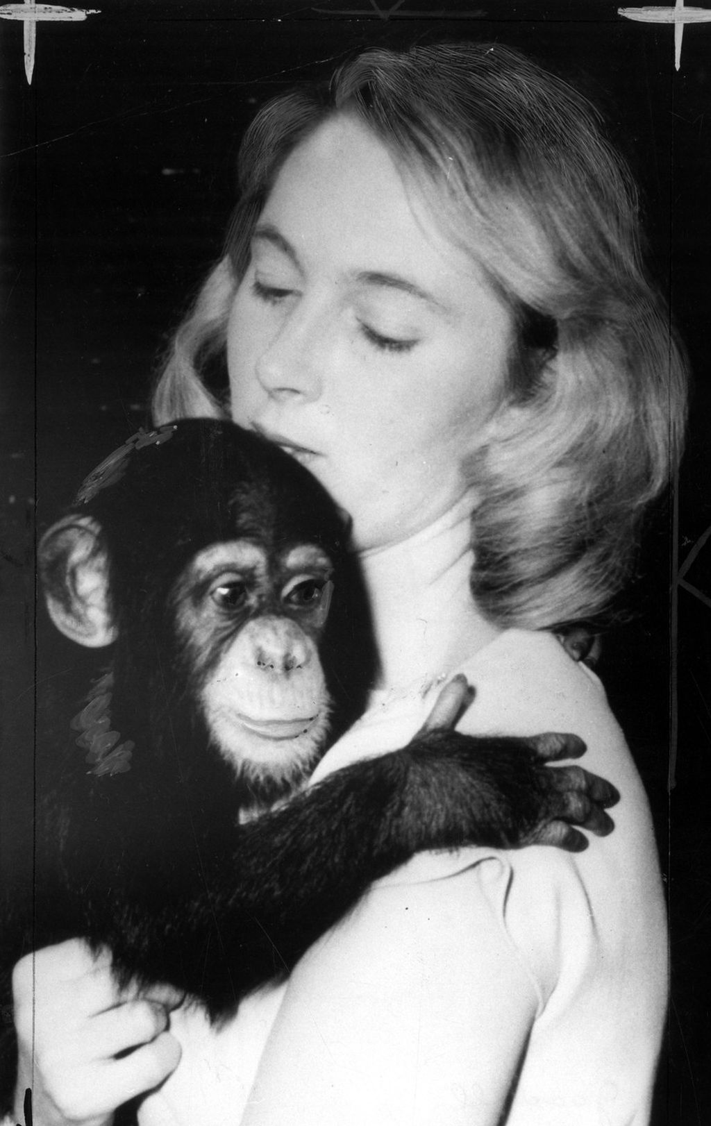 Jane Goodall - 22