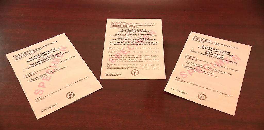 Dopunski izbori za manjine - 5
