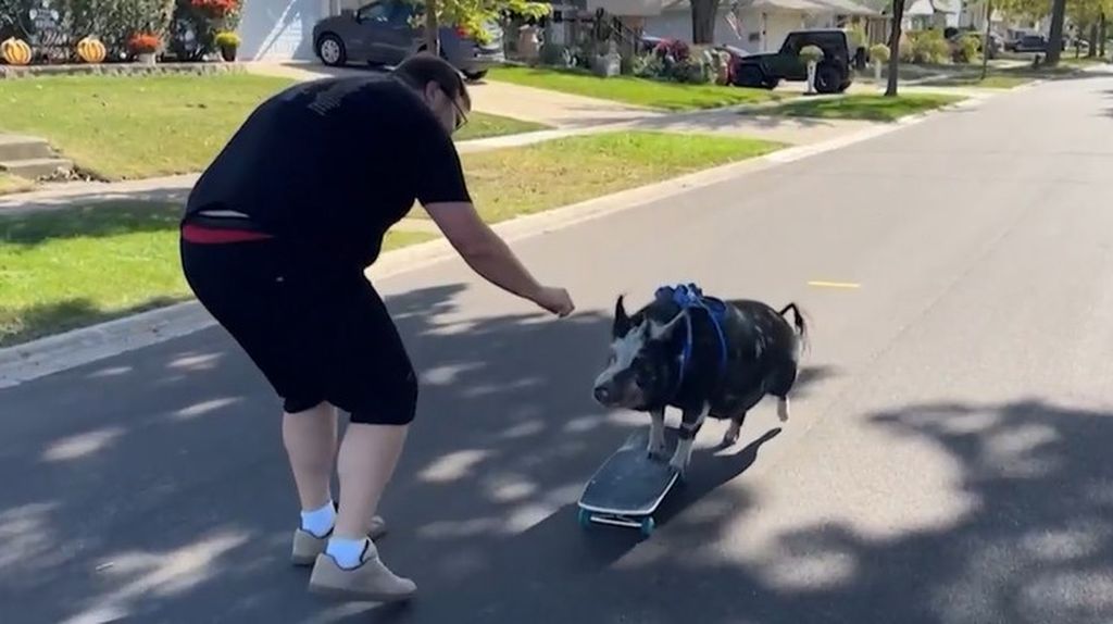 Guinnessovi rekorderi