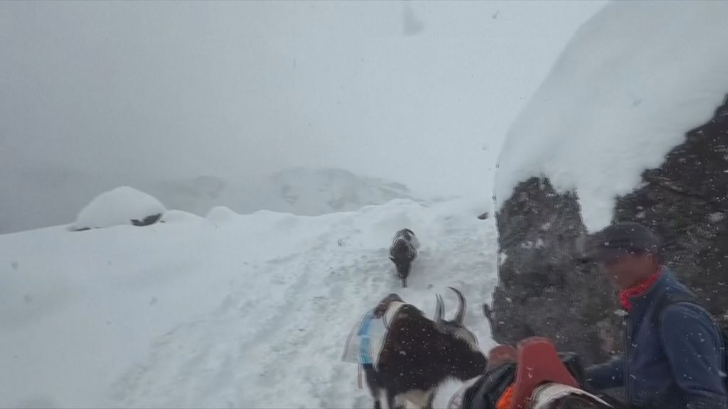 Potraga na Himalaji - 4