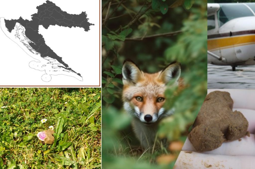 Počinje oralna vakcinacija - 2