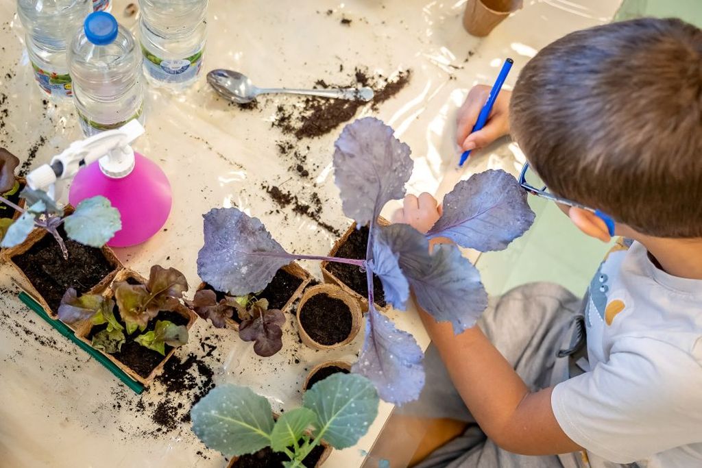 Gordana Anna Hubl, ravnateljica DV Maslacak i Lana Jugo, voditeljica CSRa i odrzivosti Lidla Hrvatska