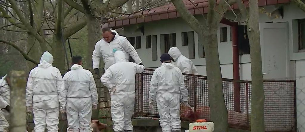 Veterinari traže pomoć - 4