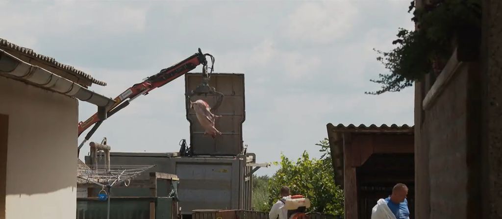 Veterinari traže pomoć - 4