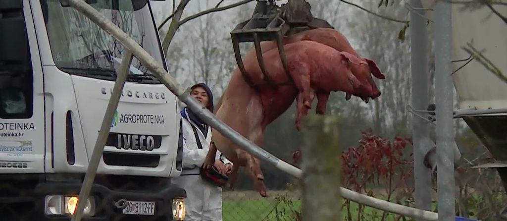 Veterinari traže pomoć - 4