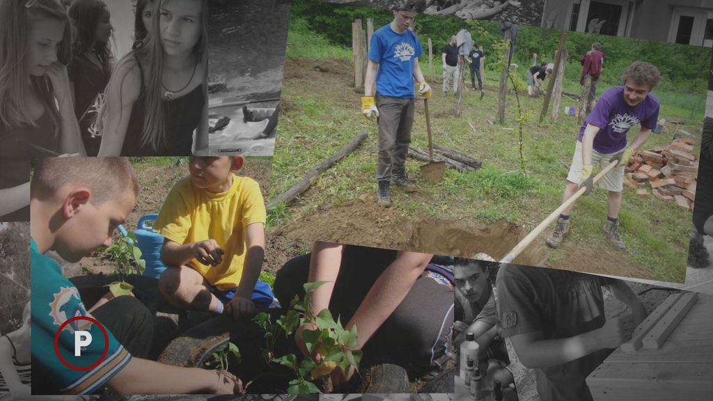 Provjereno: Vrginmost - 7