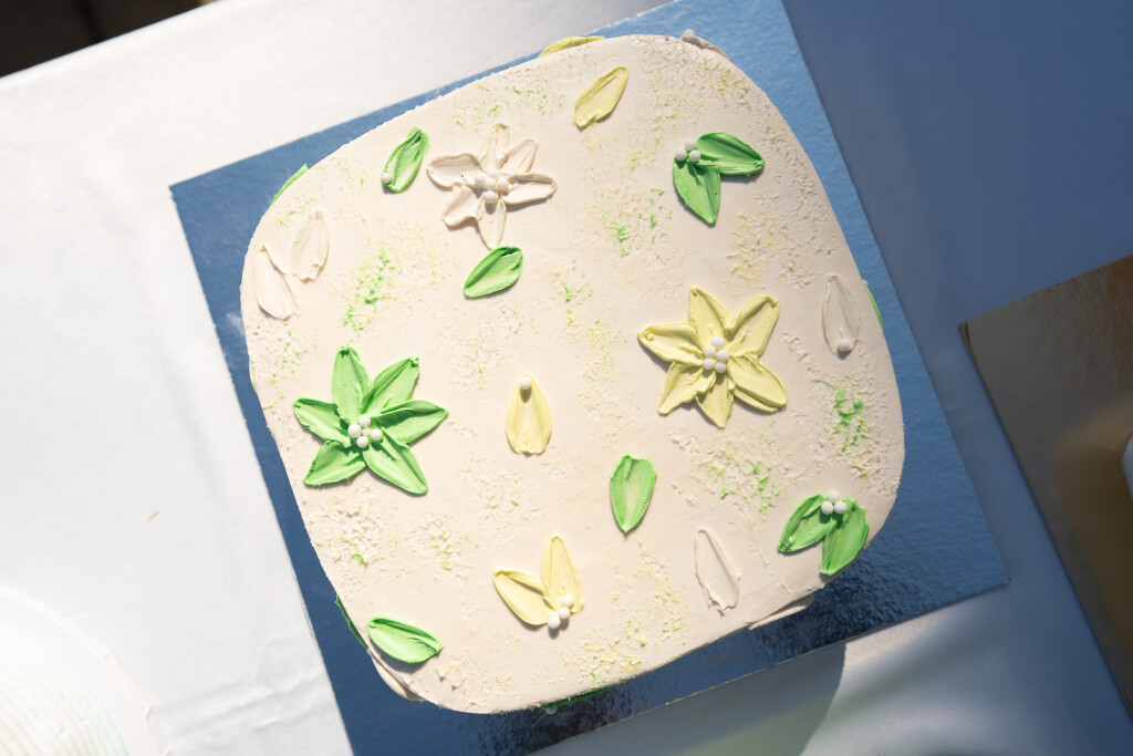 Torte, torte i još malo torti - 1